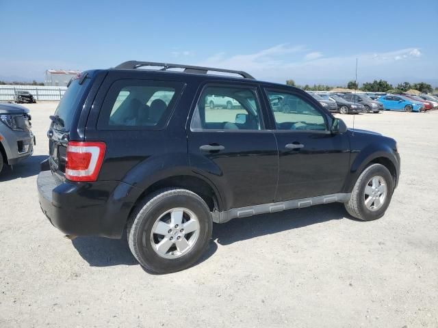 2010 Ford Escape XLS