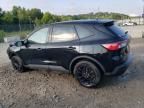 2020 Ford Escape SE Sport