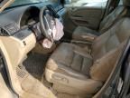 2005 Honda Odyssey EXL