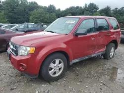 Ford Vehiculos salvage en venta: 2011 Ford Escape XLS