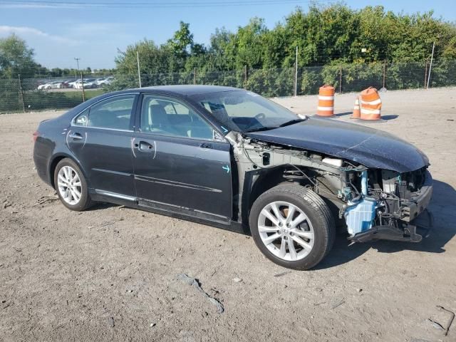 2010 Lexus ES 350