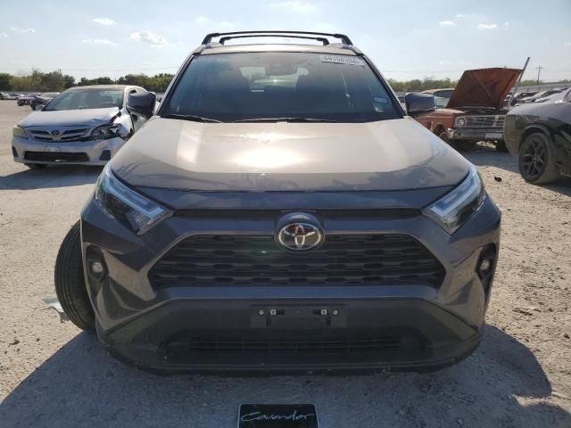 2024 Toyota Rav4 XLE Premium