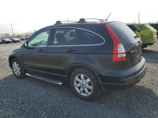 2010 Honda CR-V LX