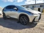 2022 Lexus NX 450H