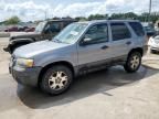 2007 Ford Escape XLT