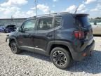 2017 Jeep Renegade Trailhawk