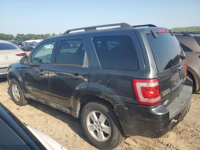 2008 Ford Escape XLT