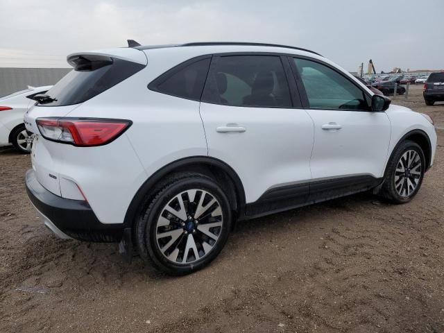 2020 Ford Escape SE Sport