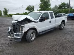 Salvage trucks for sale at Montreal Est, QC auction: 2011 Ford F350 Super Duty