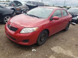 Toyota salvage cars for sale: 2010 Toyota Corolla Base