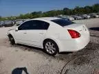 2008 Nissan Maxima SE