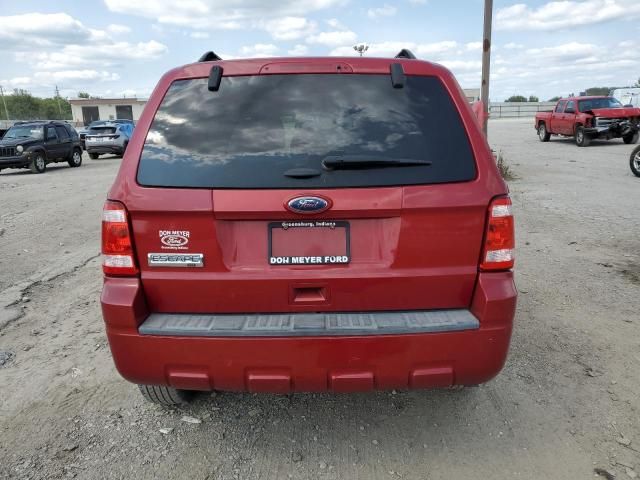 2011 Ford Escape XLT