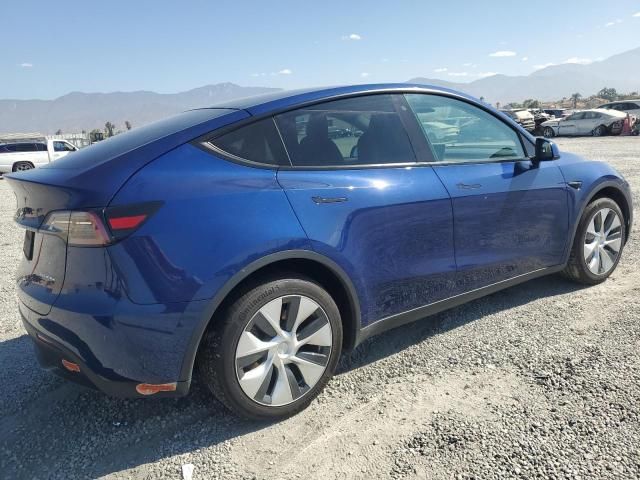 2020 Tesla Model Y