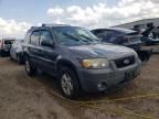 2005 Ford Escape XLT