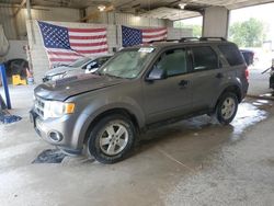 Ford Vehiculos salvage en venta: 2012 Ford Escape XLT