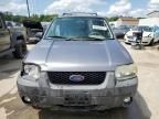 2007 Ford Escape XLT