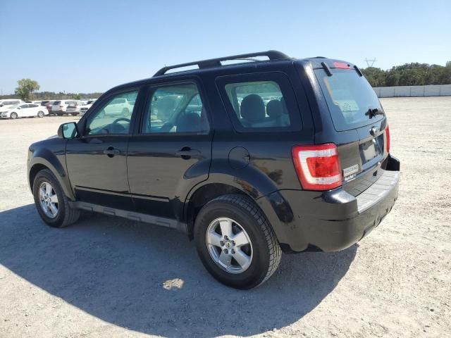 2010 Ford Escape XLS