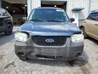 2005 Ford Escape XLS