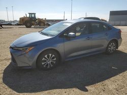 Salvage cars for sale from Copart Nisku, AB: 2020 Toyota Corolla LE