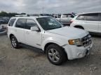 2008 Ford Escape Limited