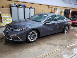 Salvage cars for sale at Kincheloe, MI auction: 2023 Lexus ES 300H Base