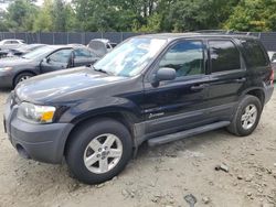 2006 Ford Escape HEV en venta en Waldorf, MD