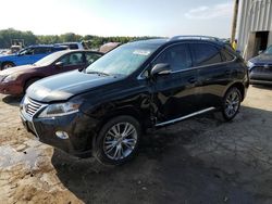 Salvage cars for sale at Memphis, TN auction: 2013 Lexus RX 350