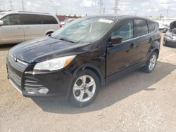 2013 Ford Escape SE en venta en Elgin, IL