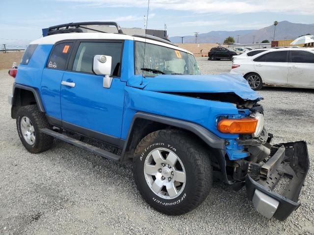 2007 Toyota FJ Cruiser