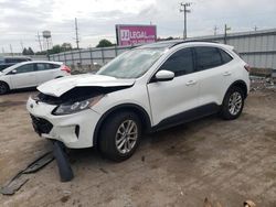 2020 Ford Escape SE en venta en Dyer, IN