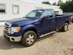 2009 Ford F150