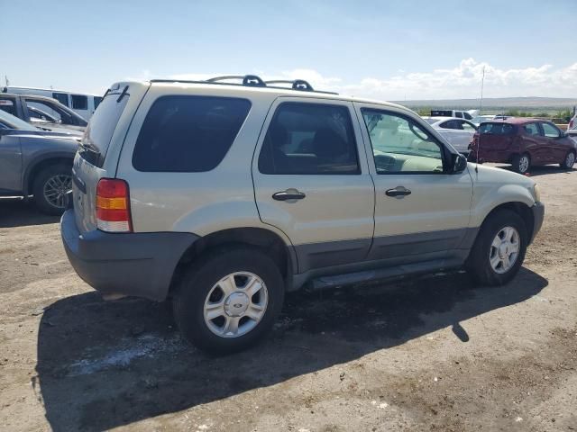 2004 Ford Escape XLT