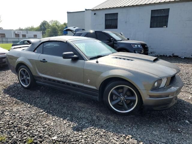 2005 Ford Mustang