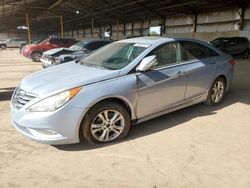 Salvage cars for sale at Phoenix, AZ auction: 2011 Hyundai Sonata SE