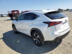 2019 Lexus NX 300 Base