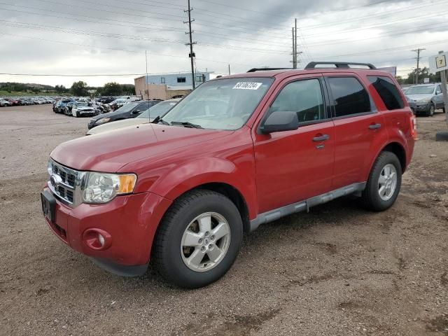 2010 Ford Escape XLT