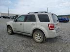 2008 Ford Escape Limited