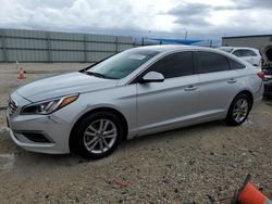 Salvage cars for sale at Arcadia, FL auction: 2016 Hyundai Sonata SE