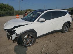 Salvage cars for sale from Copart Indianapolis, IN: 2024 Hyundai Tucson Limited