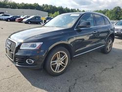 Audi salvage cars for sale: 2015 Audi Q5 TDI Premium Plus