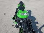 2024 Kawasaki ZX636 K