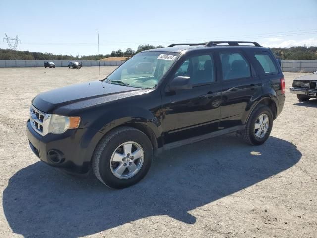 2010 Ford Escape XLS