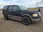 2004 Ford Expedition Eddie Bauer