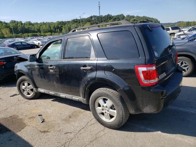 2010 Ford Escape XLT