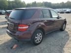 2006 Mercedes-Benz ML 350