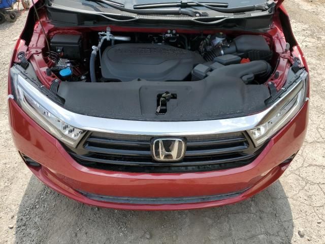 2024 Honda Odyssey EXL