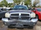 2005 Dodge Dakota Quad SLT