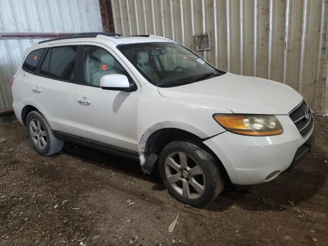 2009 Hyundai Santa FE SE