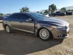 2013 Ford Fusion SE Phev