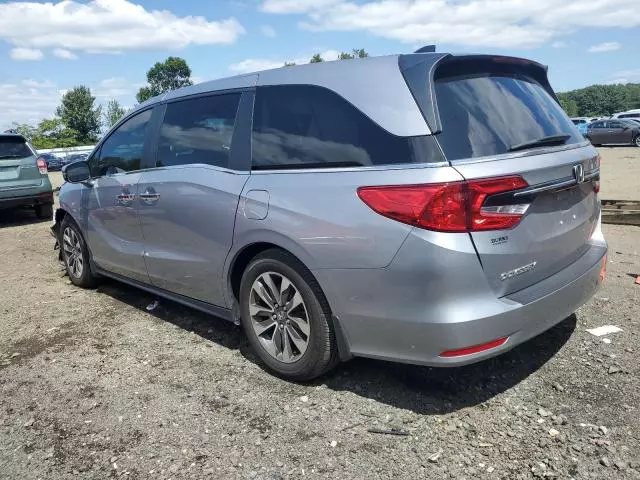 2021 Honda Odyssey EXL